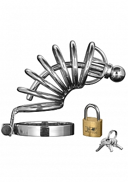 Asylum - Chastity Cage with 6 Rings - M/L